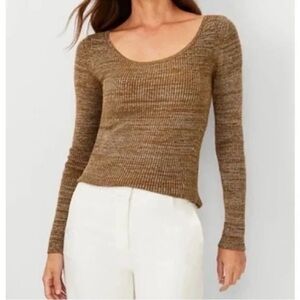 Ann Taylor Metallic Ribbed Long Sleeve Scoop Neck Sweater XXS